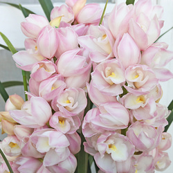 721d351d0173318fc9db4ae077059f