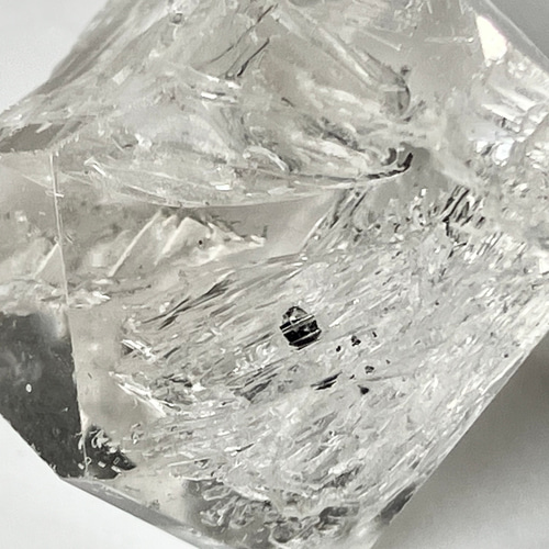 イライラしないでください焦らないでください パキスタン産 水入り