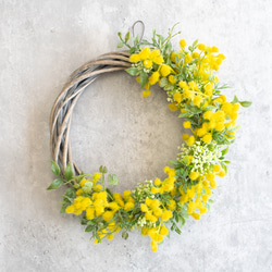 コスモスパンパスグラスのホワイトムーンリース 直径約25cm ハーフ