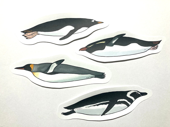 泳ぐペンギンのメッセージレター 4枚目の画像