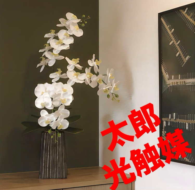 光触媒　人工観葉植物　ウォールグリーン　フェイクグリーン　デザインフレッシュ胡蝶蘭