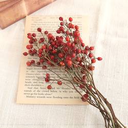 バラの実 ドライフラワー 8本 花材 国産 野ばらの実 ドライフラワー