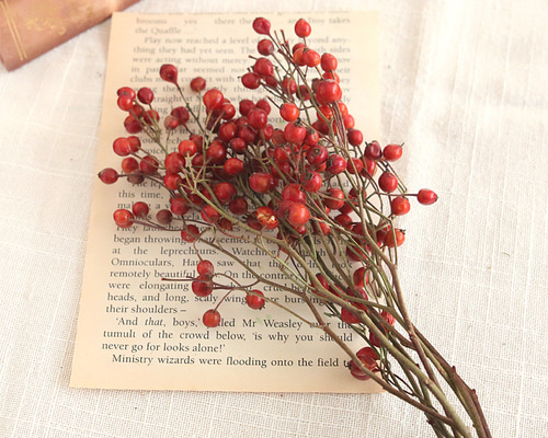 ［⭐︎Malay］10/27発送 野ばらの実他花材 3c22254494765ae28ee01905f51cdb