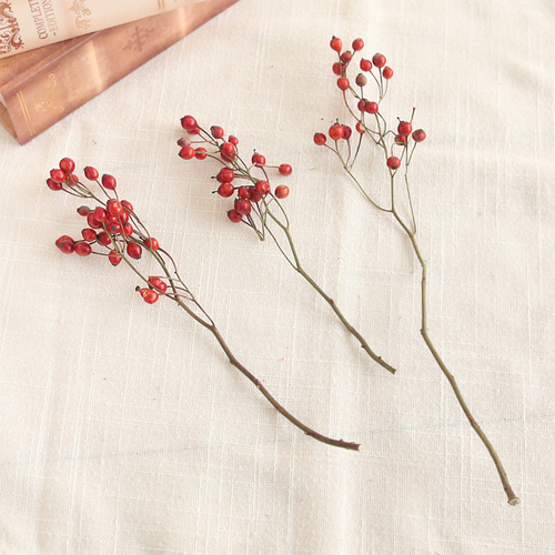 バラの実 ドライフラワー 8本 花材 国産 野ばらの実 ドライフラワー