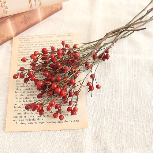 バラの実 ドライフラワー 8本 花材 国産 野ばらの実 ドライフラワー