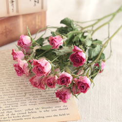 ドライフラワー❇️スタンダード バラ❣️ピンク系 ドライフラワー