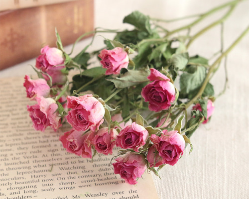 92e78c727fc60255615ff3cb6796f2