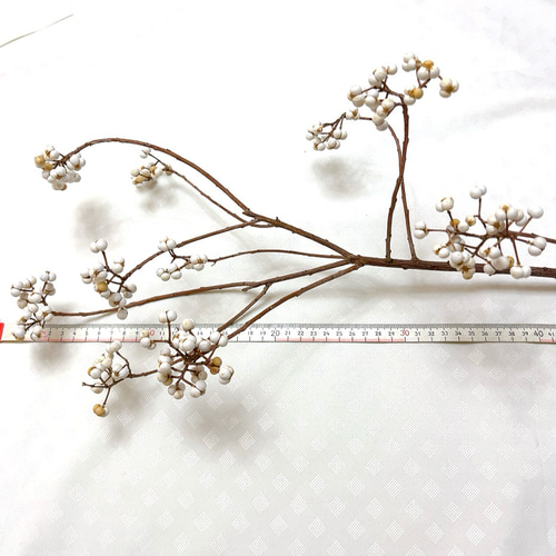 ナンキンハゼ枝物 インテリア ① ドライフラワー Satsuki 通販