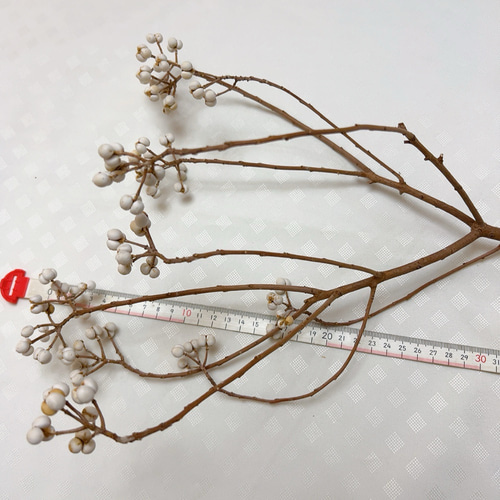 冬の設え　ナンキンハゼ枝もの 枝もの図鑑｜冬】ナンキンハゼ - SiKiTO