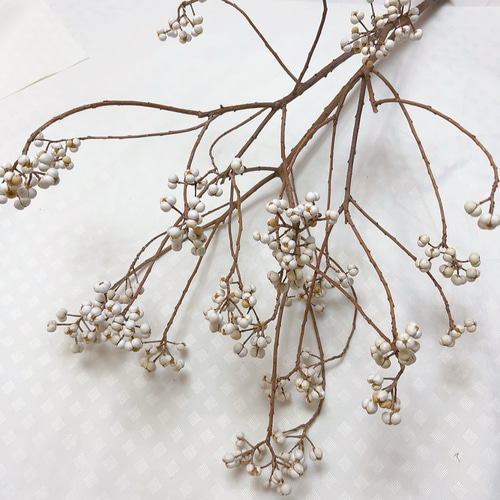 ナンキンハゼ枝物 インテリア ① ドライフラワー Satsuki 通販