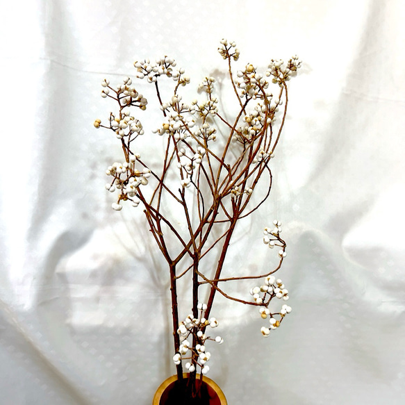 ナンキンハゼ枝物 インテリア ① ドライフラワー Satsuki 通販