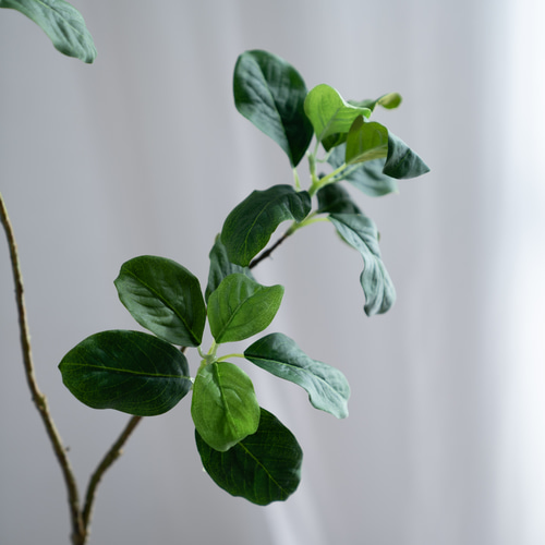 マグノリア【1枝挿し】 アートフラワー シュシュフルール 通販