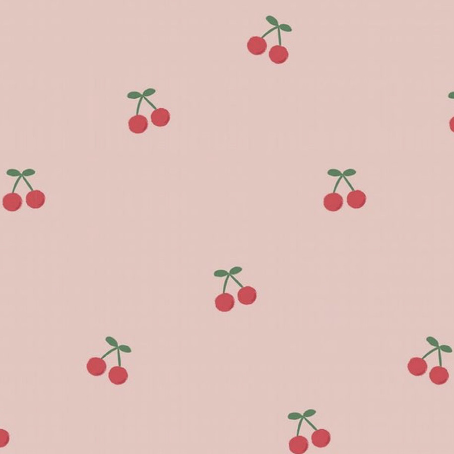 ［送料無料］ネームタグ付き♡入園入学4点セット♡レッスンバッグ♡体操服袋♡シューズケース2点