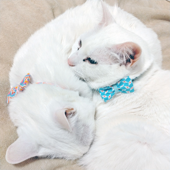 猫の首輪　petit pan ミントブルー 5枚目の画像