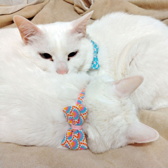 猫の首輪　petit pan ミントブルー 6枚目の画像