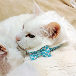 猫の首輪　petit pan ミントブルー 4枚目の画像