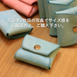 フルカラーオーダー】ホーウィン社製シェルコードバン(4色