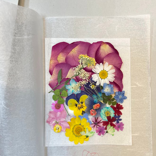 簡単！手作り押し花型抜きキット キャビネサイズ キット 優花＋