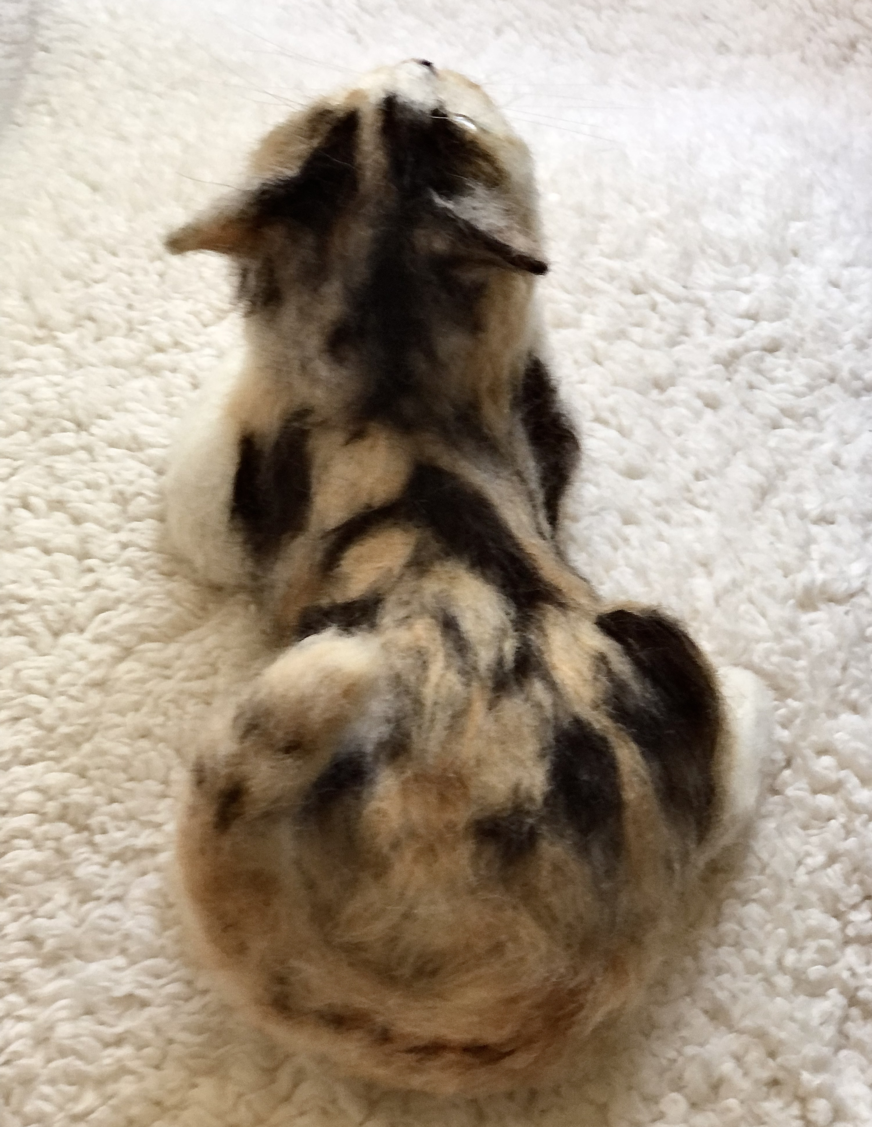 【オーダーメイド】【オーダーメイド2月分受付】子猫等身大(羊毛フェルトねこ)