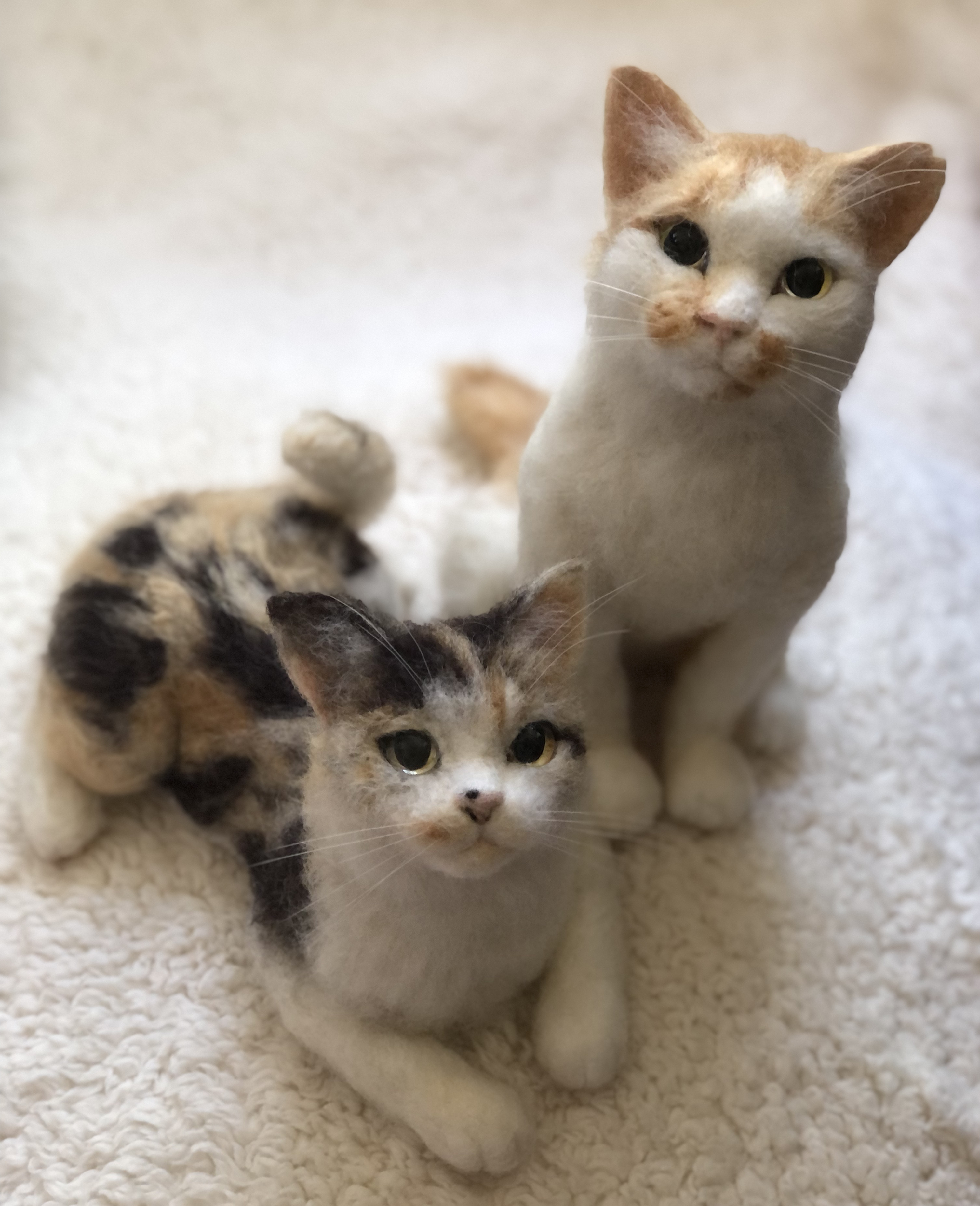 【オーダーメイド】【オーダーメイド2月分受付】子猫等身大(羊毛フェルトねこ)