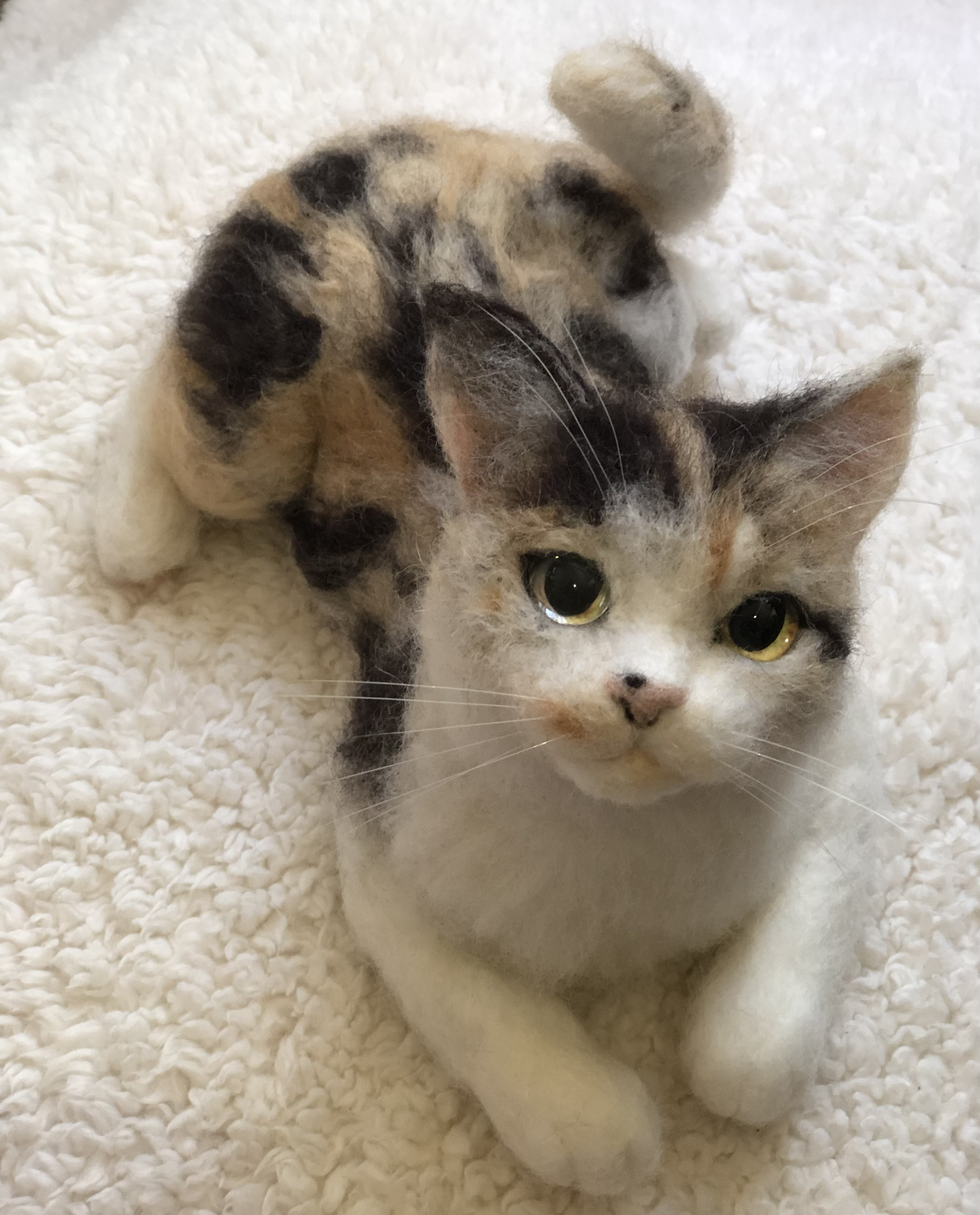 【オーダーメイド】【オーダーメイド2月分受付】子猫等身大(羊毛フェルトねこ)