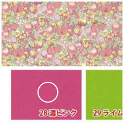 リバティ フローティングフローラ レッスンバッグ 絵本バック 通園