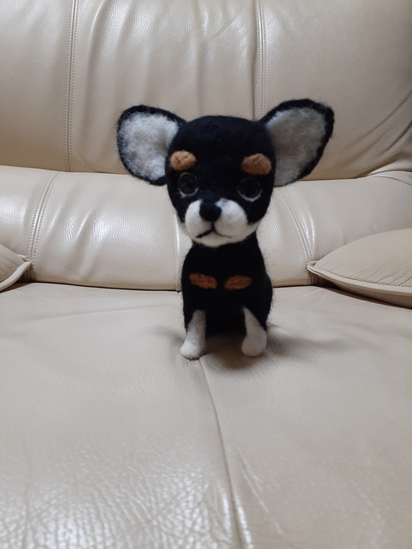 羊毛フェルトクロチワワ