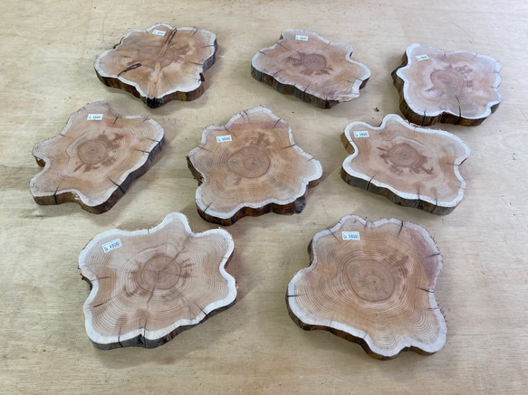 オンコ涙目型輪切り　05020201 1枚目の画像