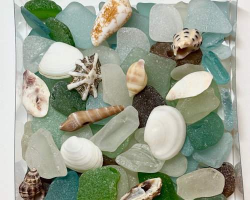 貝殻夏インテリアインディゴブルーaloha マリン飾りシーグラス海