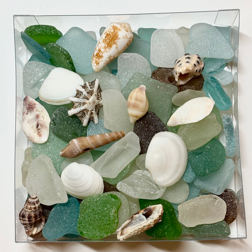 湘南の海を感じるシーグラスと貝殻（小）170g その他インテリア