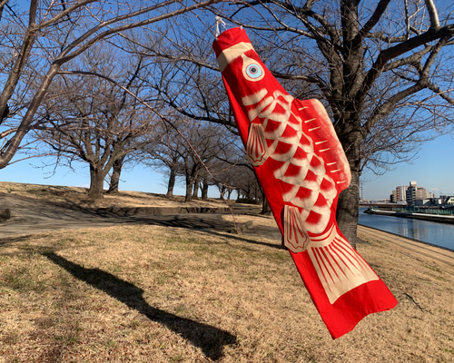 歌川広重「名所江戸百景 水道橋駿河台」手描き鯉のぼり 赤 1.5m 歌川広重「名所江戸百景 水道橋駿河台」手描き鯉のぼり 赤 1.5m