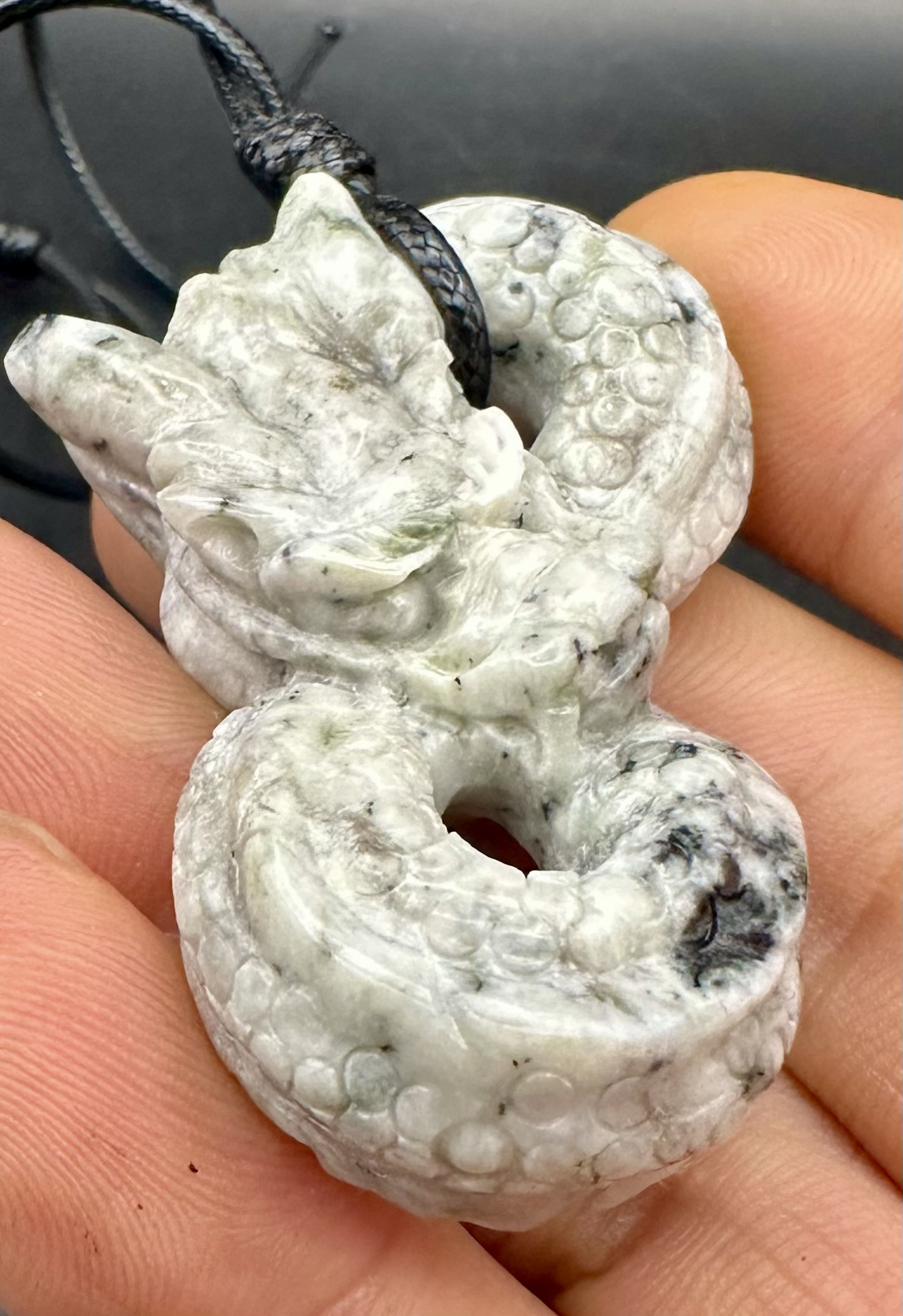 2025.2.3糸魚川山翡翠磐龍