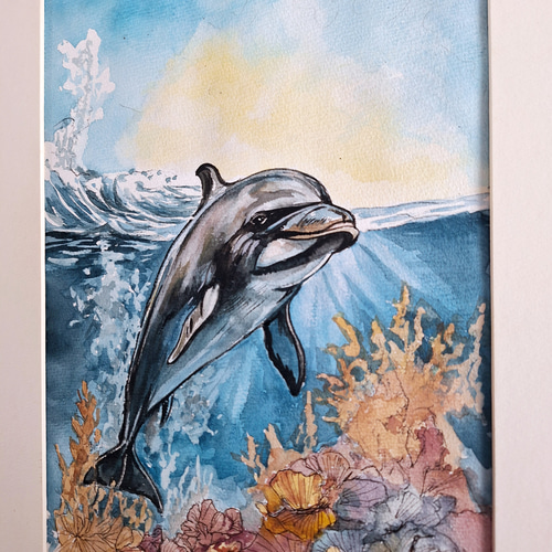 油絵:イルカ Amazon | paint by numbers イルカ 数字油絵 塗り絵 手塗り DIY