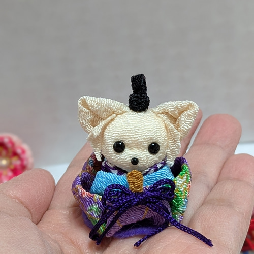 ちりめん細工 チワワのお雛様セット ロングコートチワワ、クリーム