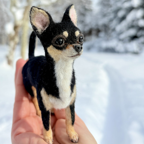 羊毛フェルト　チワワ 羊毛フェルト犬 チワワ ブラックタン 羊毛フェルト 優しい香り 通販