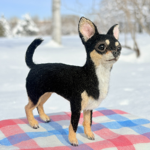 羊毛フェルト　チワワ　サマーカット 羊毛フェルト チワワ サマーカット ぬいぐるみ 羊毛フェルト チワワ