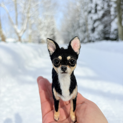 羊毛フェルト　スムースコートチワワ イケワン✨️】チワワスムースコート【鼻先からおしりまで10.5cm