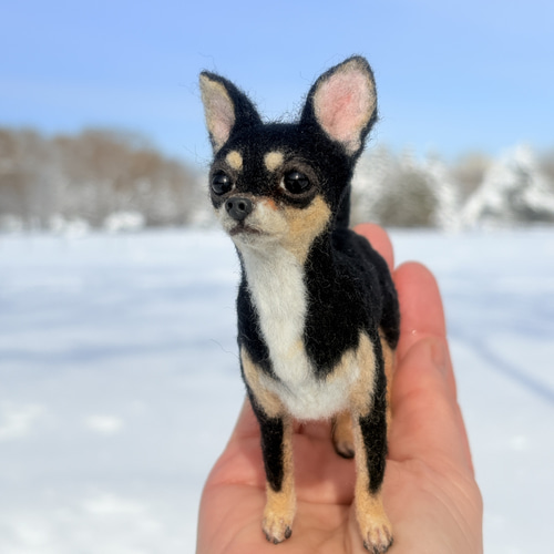 イケワン✨️】チワワスムースコート【鼻先からおしりまで10.5cm】羊毛