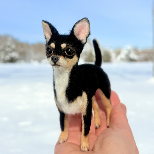 イケワン✨️】チワワスムースコート【鼻先からおしりまで10.5cm】羊毛