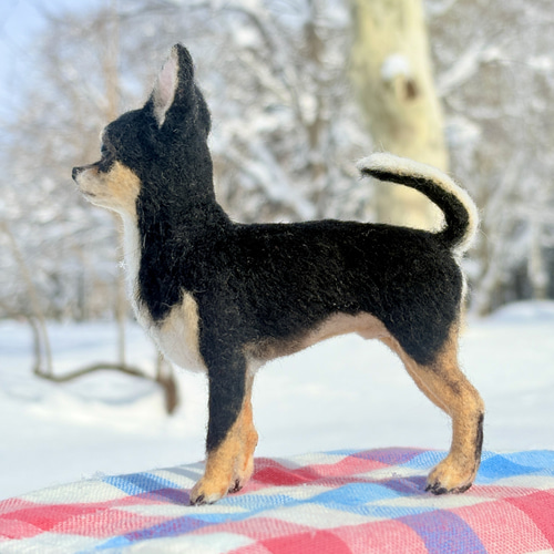 るーこ 羊毛フェルト 犬 チワワ いちごちゃん (о´∀`о) 骨格もずっしりむちむちチワワちゃん