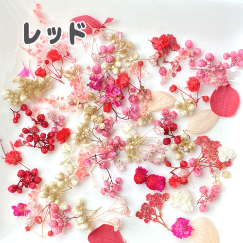 ドライフラワー 花びら つぼみ 色々ミックス レジン ネイル 封入