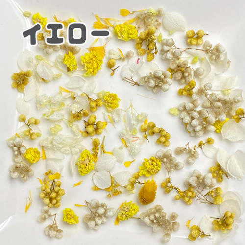 ドライフラワー 花びら つぼみ 色々ミックス レジン ネイル 封入