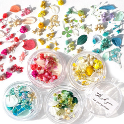 ちぁ〜ん様◆【ドライフラワー】小花つぼみ mix（673 レジン パーツ ） ドライフラワー MIX 100個 ヘッド 花 小花 花材 レジン パーツ