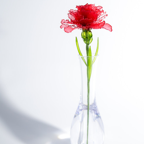 感謝の花 カーネーション / インテリア・花束・ギフト・記念・感謝