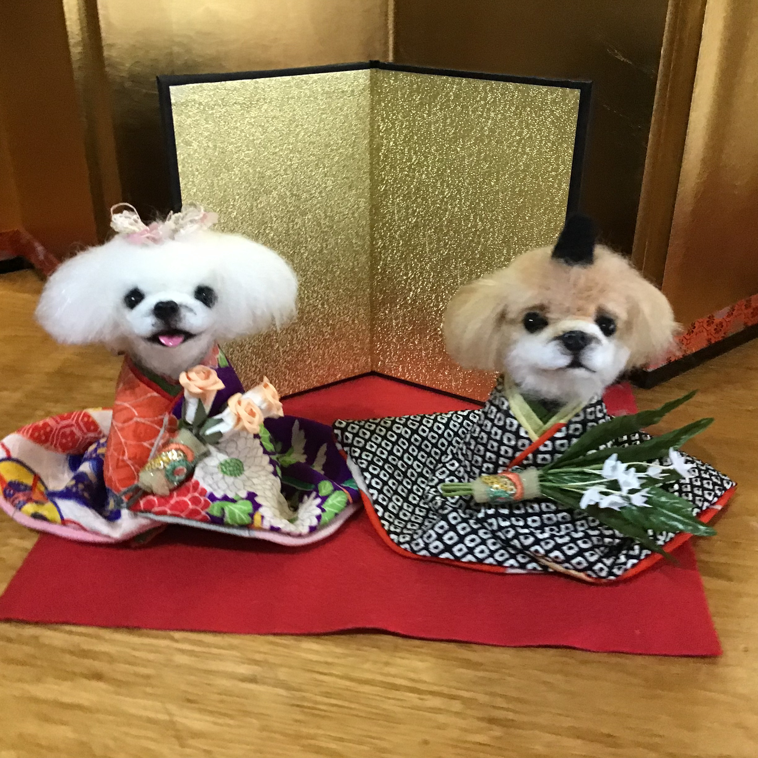 古布を纏ったペキニーズ雛