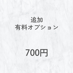 【追加有料オプション】550円～ 2枚目の画像
