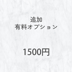 【追加有料オプション】550円～ 3枚目の画像