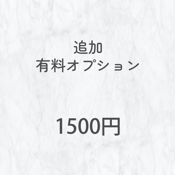 【追加有料オプション】550円～ 3枚目の画像