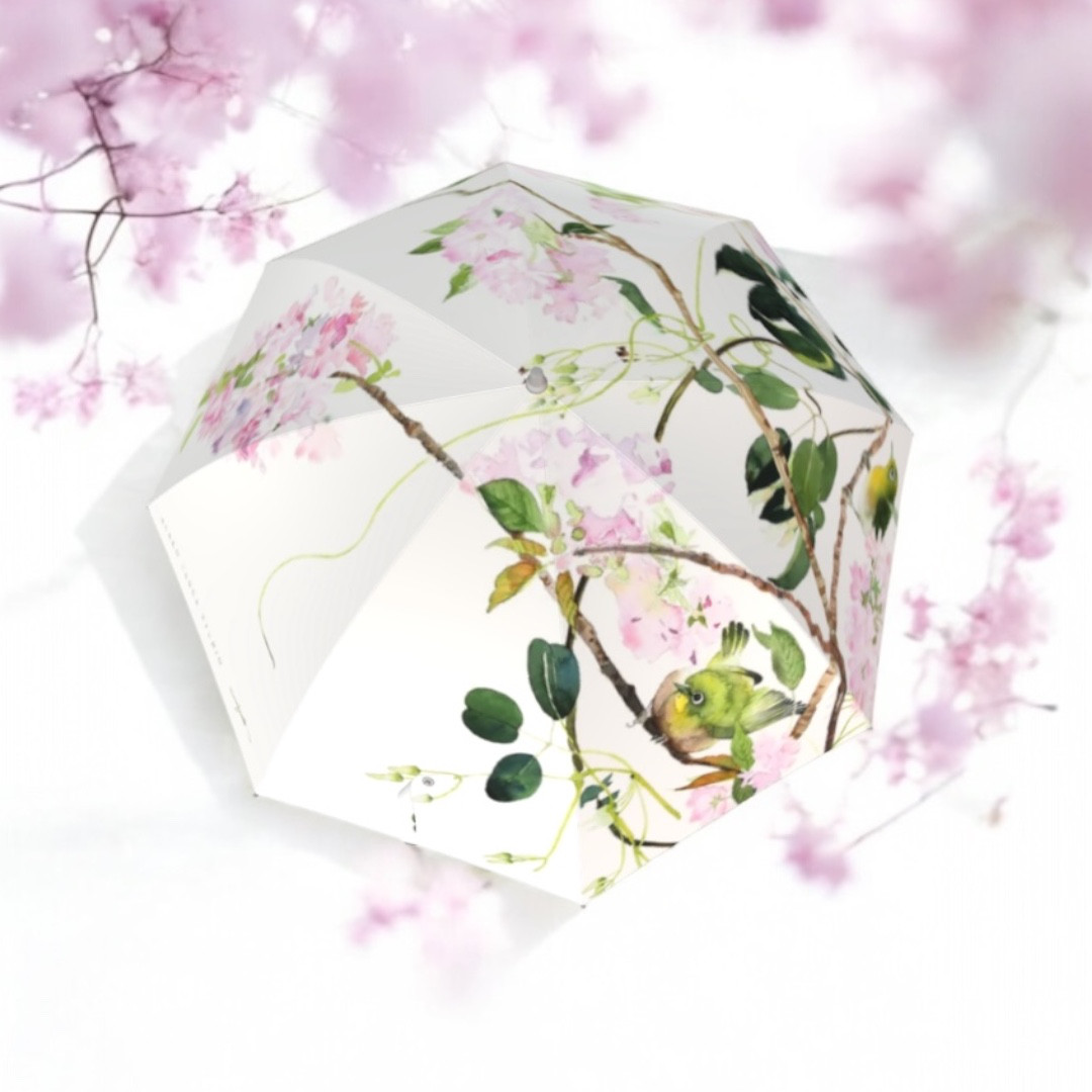 晴雨兼用傘　日傘　50cm 八重桜とメジロ　50㎝　手開き