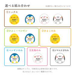 どうぶつお名前シール とりさんず ペンギン ひよこ 文鳥 シマエナガ｜アイロン不要 カット済み 洋服タグにぎゅっと貼るだ 5枚目の画像